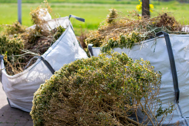 Best Junk Removal Near Me  in Reston, VA